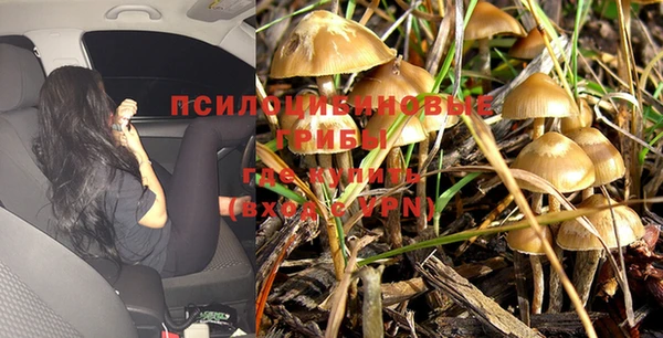 твердый Осташков