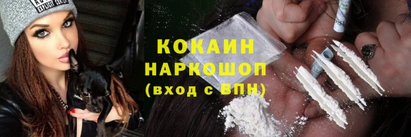 твердый Осташков